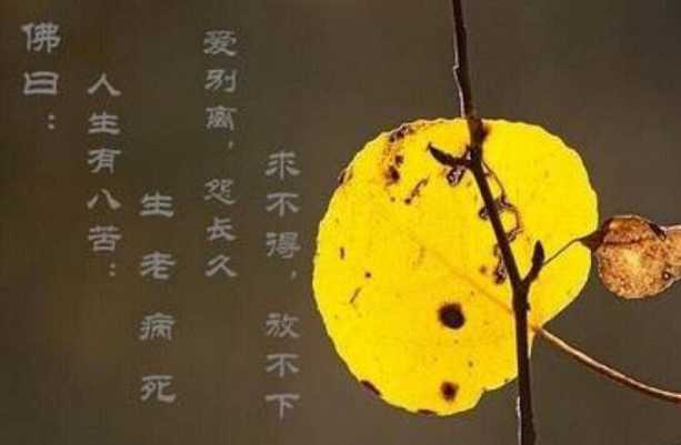 人生八苦——是我们每个人，都离不开的
