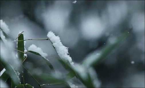 正见的意思是什么