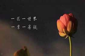 出离心讲的是什么