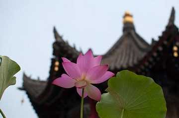 和尚圆寂3年身体不腐死后6天脸色仍红润