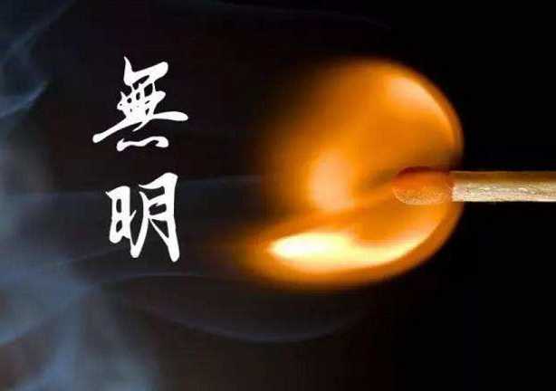 无明——不能见世间实相的根本力量，执取和贪嗔的根源