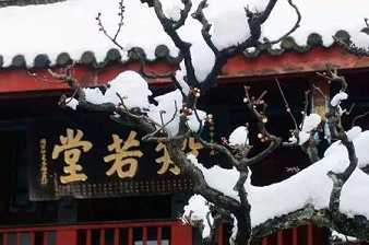 https://m.dizangjingqw.com/fxztt/xutum/176826.html
