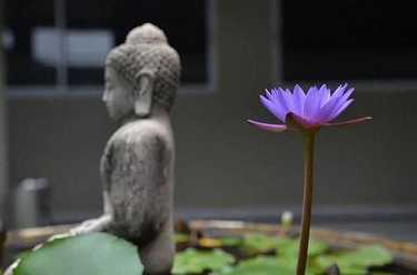 普庵禅师与楞严咒的关系