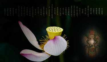 五财神咒语什么时间念