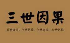 三世因果的理解